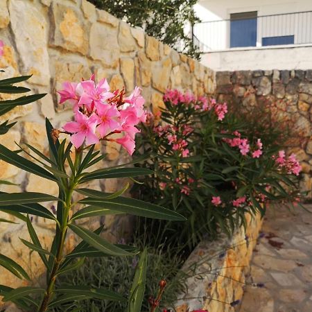 Apartment Klara Primošten Εξωτερικό φωτογραφία
